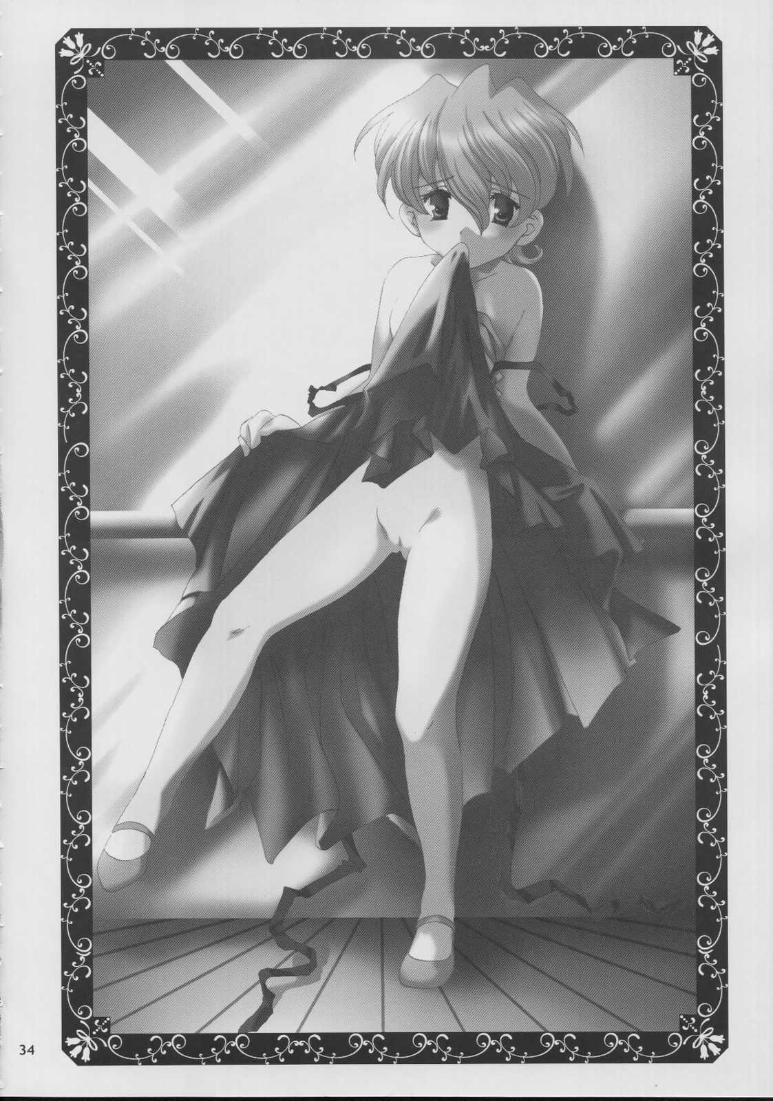 [LUNAFAIRYMIENA (Usagi)] Roman Tsukiyo (Sakura Taisen) page 34 full