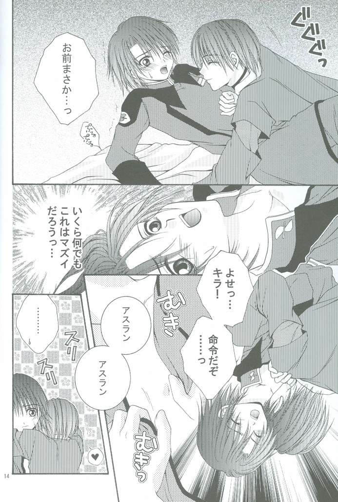 (CCOsaka44) [W.QUAKE (Anryuu Hina)] Crystal Universe (Gundam Seed) page 13 full