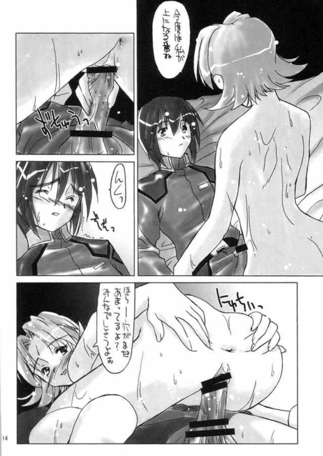 [Spirit Guide] G's (Gundam SEED) page 13 full