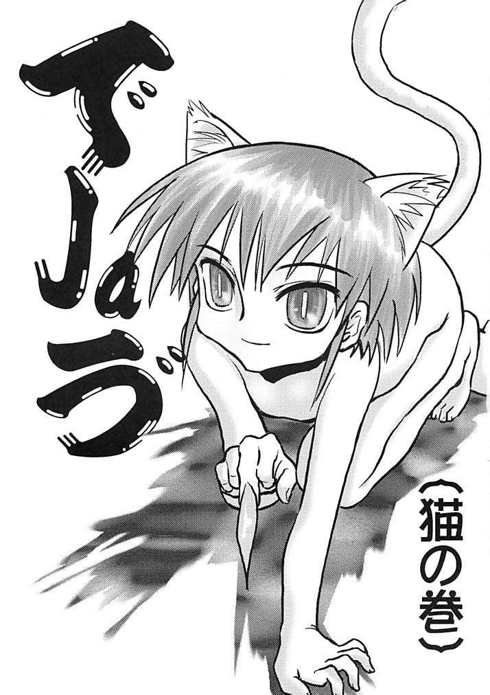 (C62) [First Class (Kazuneko)] Déjà Vu {Neko no Maki} (Utawarerumono) page 2 full
