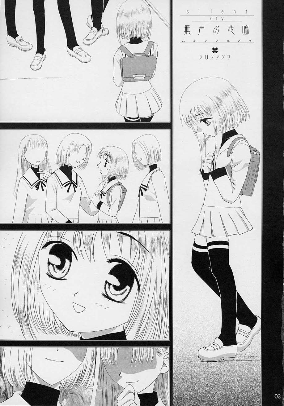 [Crazy Clover Club] - 02 - Subetewo You Kasu Bishou Mide (fruits basket) page 2 full