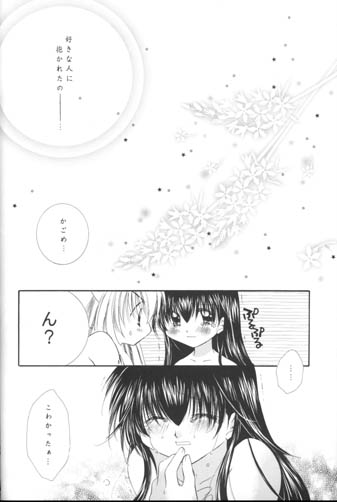 (C63) [Sakurakan (Seriou Sakura)] Manten no Hoshizora o Anata ni (Inuyasha) page 49 full