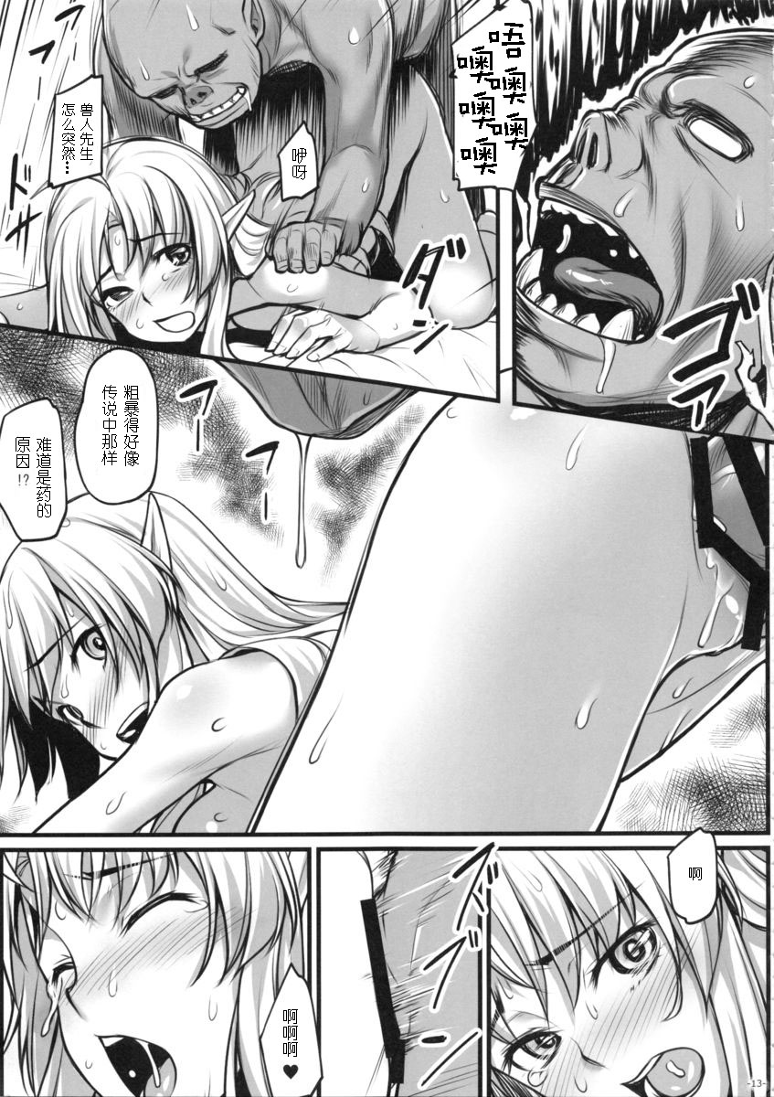 (C88) [Area14 (Kasei)] Watashi no Orc-san [Chinese] [八十万禁书教头汉化] page 14 full