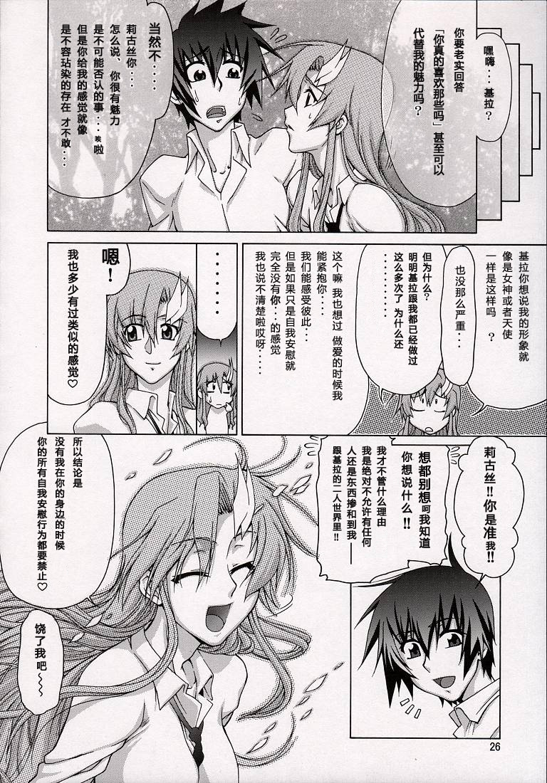 (C74) [GOLD RUSH (Suzuki Address)] A Diva of Healing V (Gundam SEED DESTINY) [Chinese] [graviton个人汉化] page 25 full