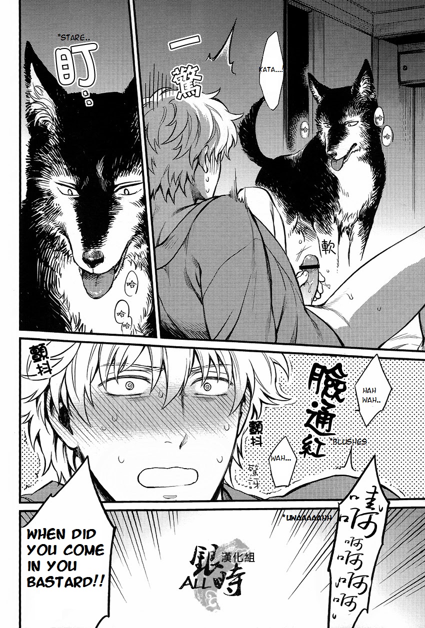 (HaruCC18) [3745HOUSE, tekkaG (MIkami Takeru, Haru)] HOW to SPOIL YOUR DOG (Gintama) [English] [valc21] page 24 full
