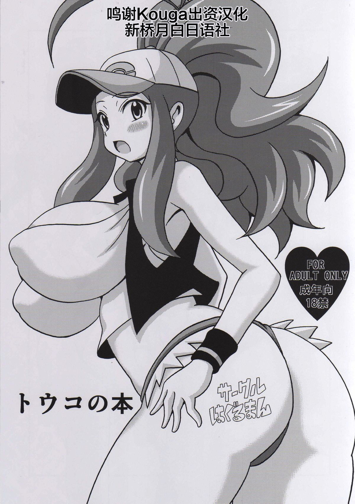 (C87) [Haguruman (Koutarosu)] Touko no Hon (Pokémon) [Chinese] [新桥月白日语社] page 1 full
