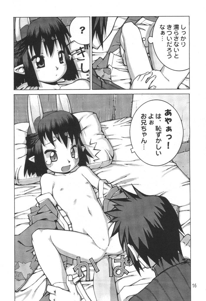 (C61) [Y no Shokutaku (Hamada Yoshikadu)] Nengemishou (Summon Night 2) page 17 full