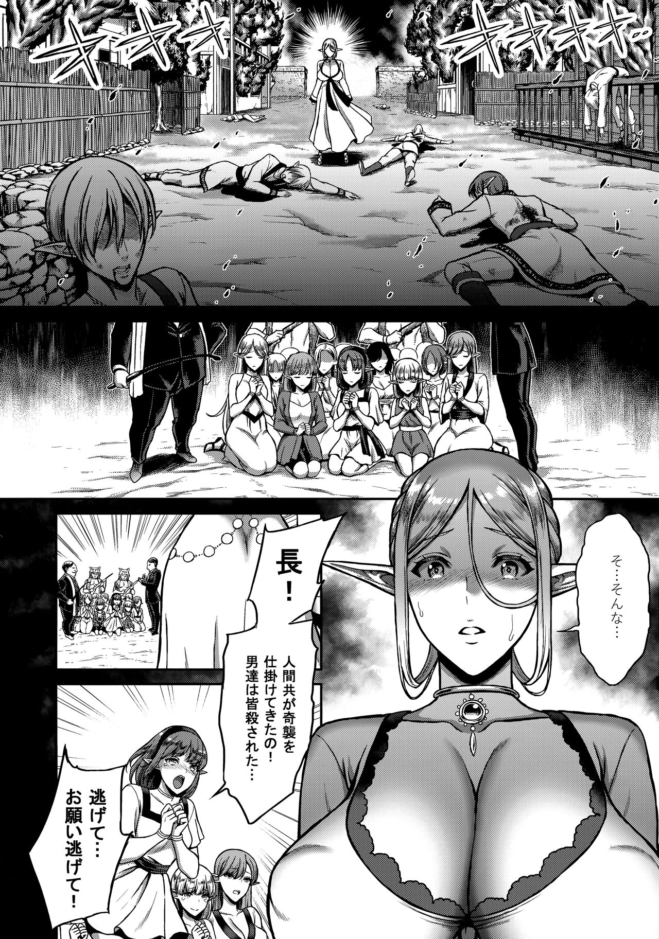 (C93) [H.B.A (Usagi Nagomu)] Tasogare no Shou Elf page 3 full