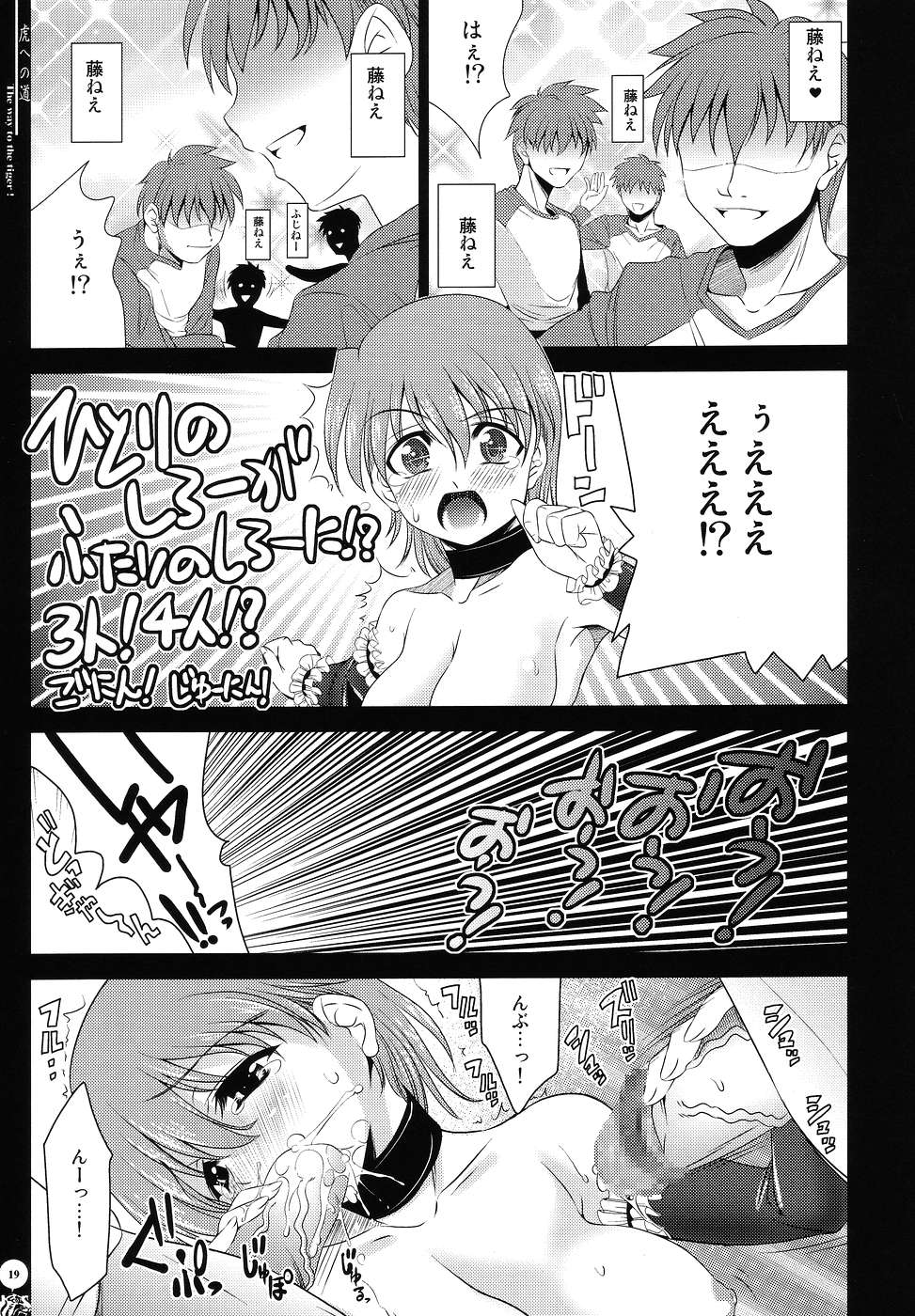 (C67) [Goromenz (Yasui Riosuke)] Tora e no Michi (Fate/stay night) page 18 full