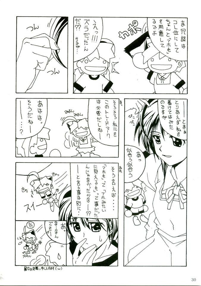 (C68) [AKKAN-Bi PROJECT (Yanagi Hirohiko)] RED BRAVO (Mobile Suit Gundam SEED Destiny) [English] [Hentaidoujins] page 29 full