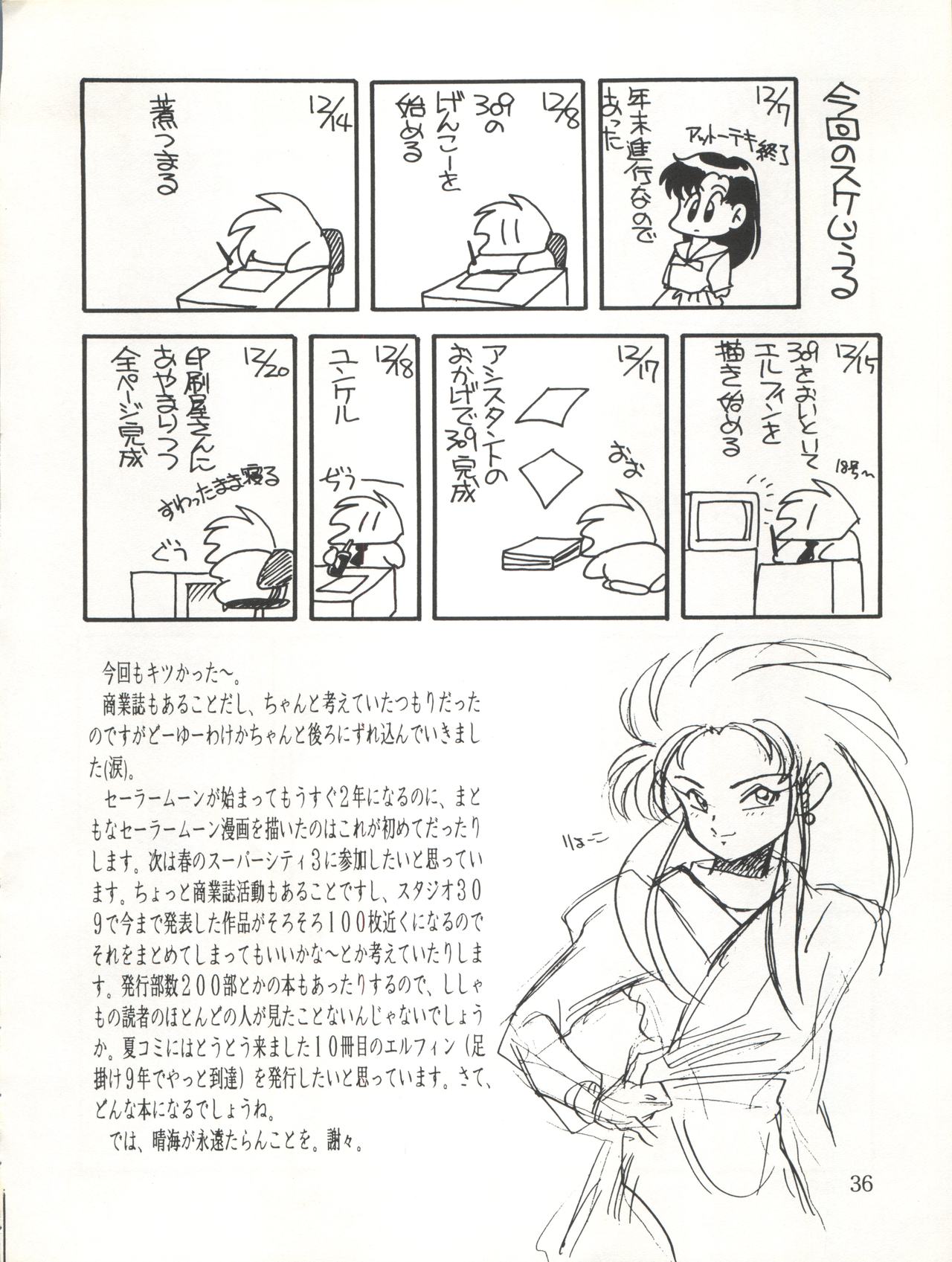 (C45) [Shishamo House (Araki Akira)] Elfin 9 (Bishoujo Senshi Sailor Moon) page 36 full