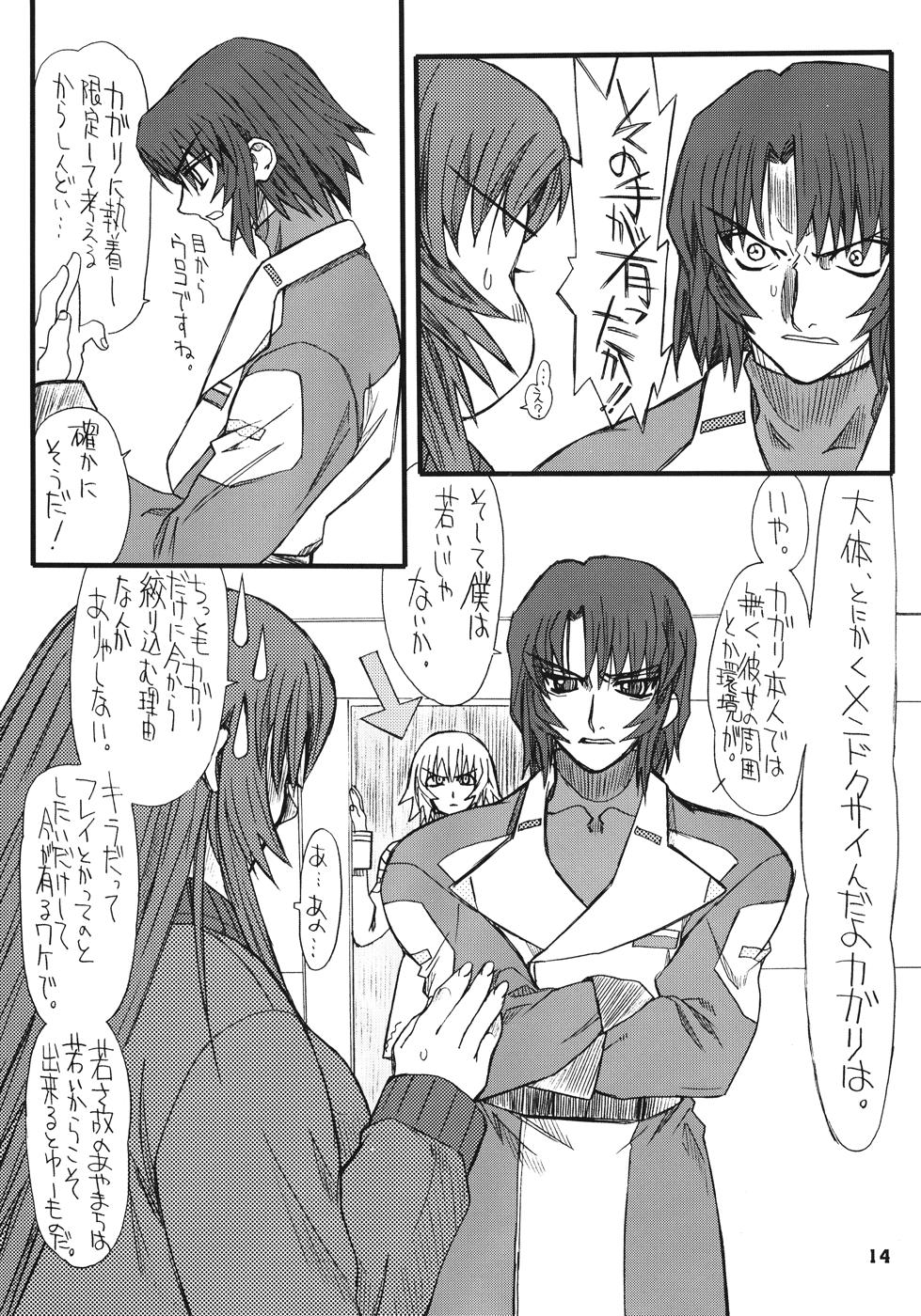 [Power Slide (Uttorikun)] Flower Children 4 (Gundam SEED DESTINY) page 14 full