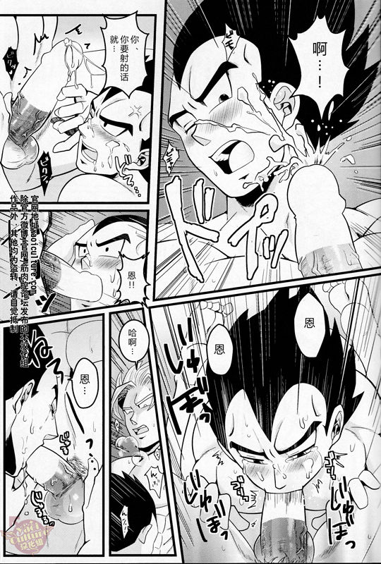 (C86) [Choco-la (Shisui)] Love Vacation | 恋爱假日 (Dragon Ball) [Chinese] [Yaoi Culture汉化组] page 12 full