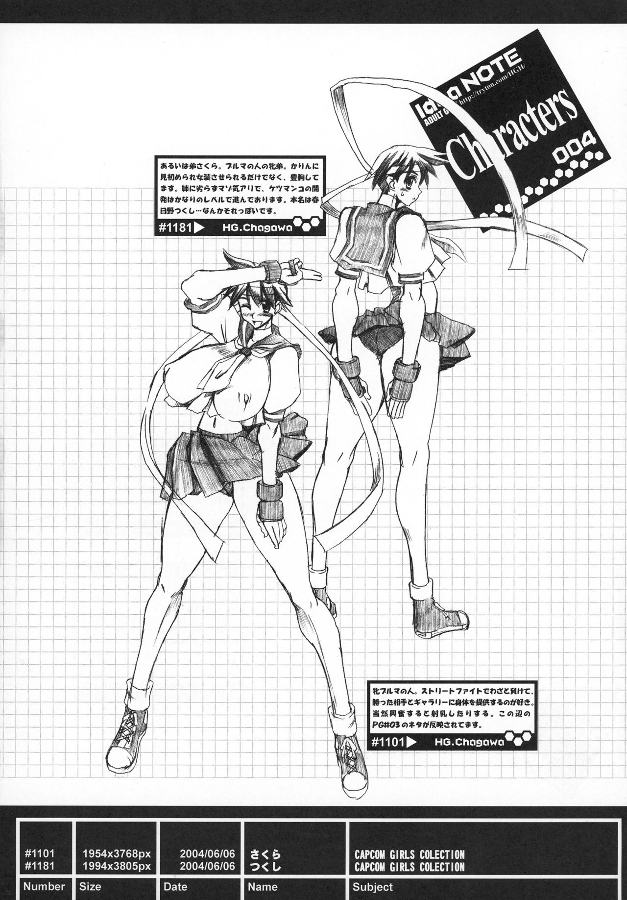 (SC24) [HGH (HG Chagawa)] Idea NOTE #04 (Street Fighter) page 4 full