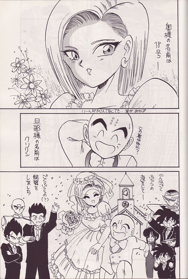 (CR14) [Kokuryuukigun (Various)] P-ARK (Dragon Ball Z) [Incomplete] page 2 full