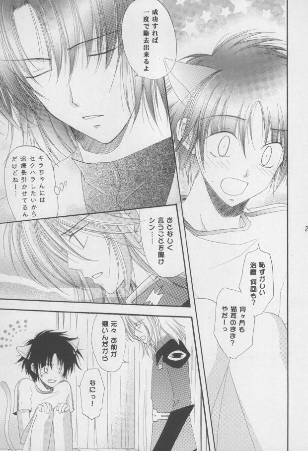 (C68) [Mutsuharu (Kagami Haruki)] Nekomimi Zouryouchuu (Gundam SEED DESTINY) [Incomplete] page 22 full