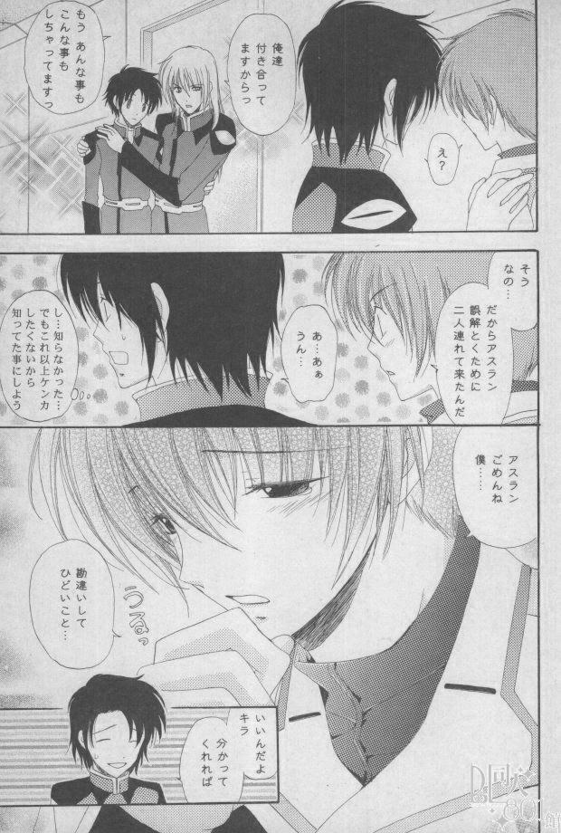 [Mutsuharu (Kagami Haruki)] Love Scramble (Gundam SEED DESTINY) page 14 full