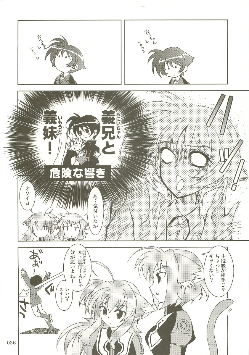 (C73) [PLUM (Kanna)] Mahou Shoujo Magical SEED  Soushuuhen X (Mahou Shoujo Lyrical Nanoha) page 35 full