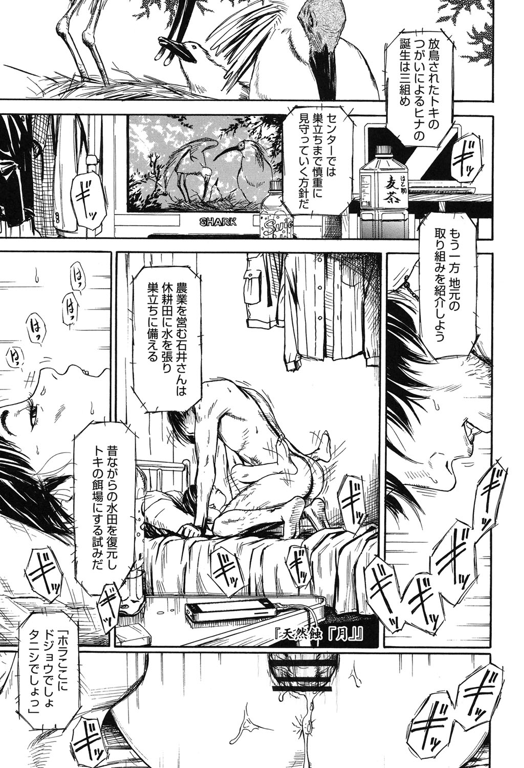 [Machida Hiraku] Shofu Hakkei [Digital] page 5 full