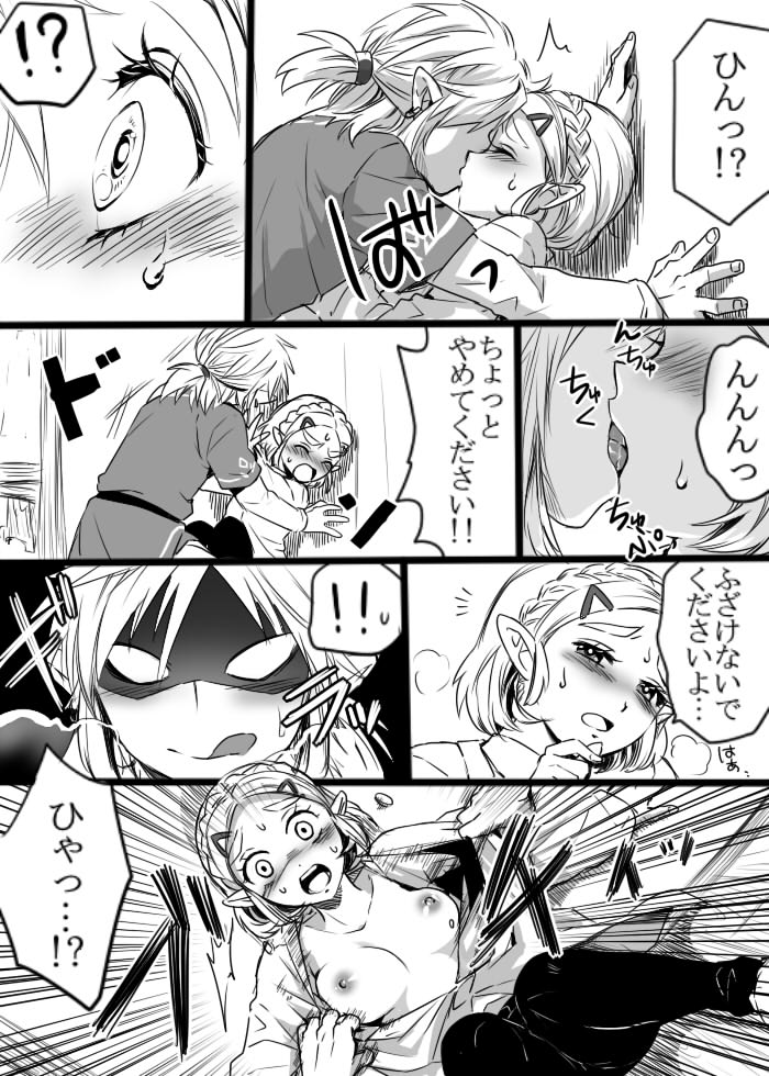 [Wasabi] Anzen de Kensen na Okusuri o Nomou! (The Legend of Zelda: Breath of the Wild) page 5 full