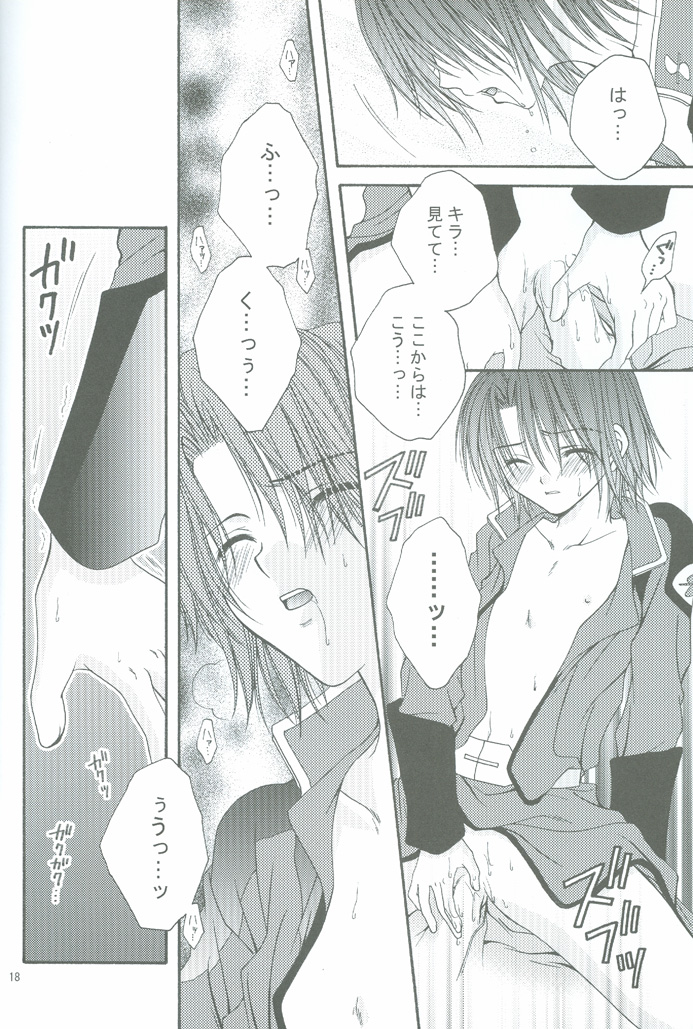 (CCOsaka44) [W.QUAKE (Anryuu Hina)] Crystal Universe (Gundam Seed) page 17 full