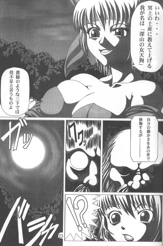 (C58) [Power Slide (Uttorikun, DENIM)] Fuusen (ZOIDS, Dead or Alive) page 22 full