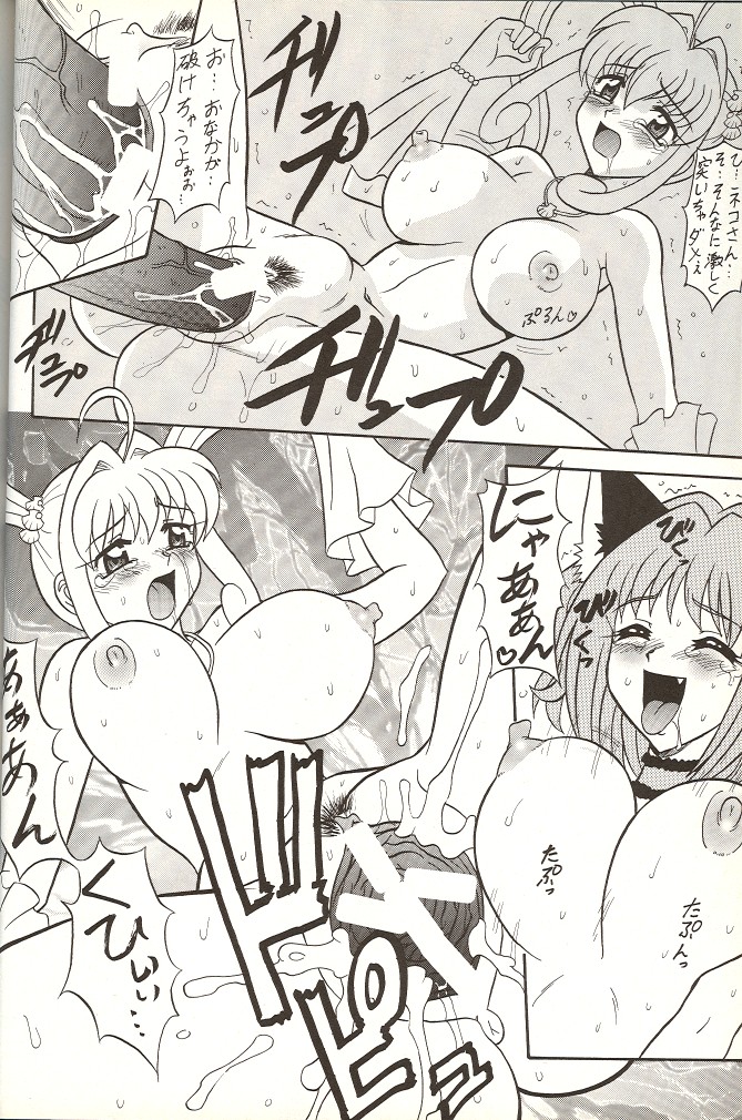 (C65) [Mutsuya (Mutsu Nagare)] Sugoi Ikioi 14 (Tokyo Mew Mew, Mermaid Melody Pichi Pichi Pitch, Sailor Moon) page 15 full