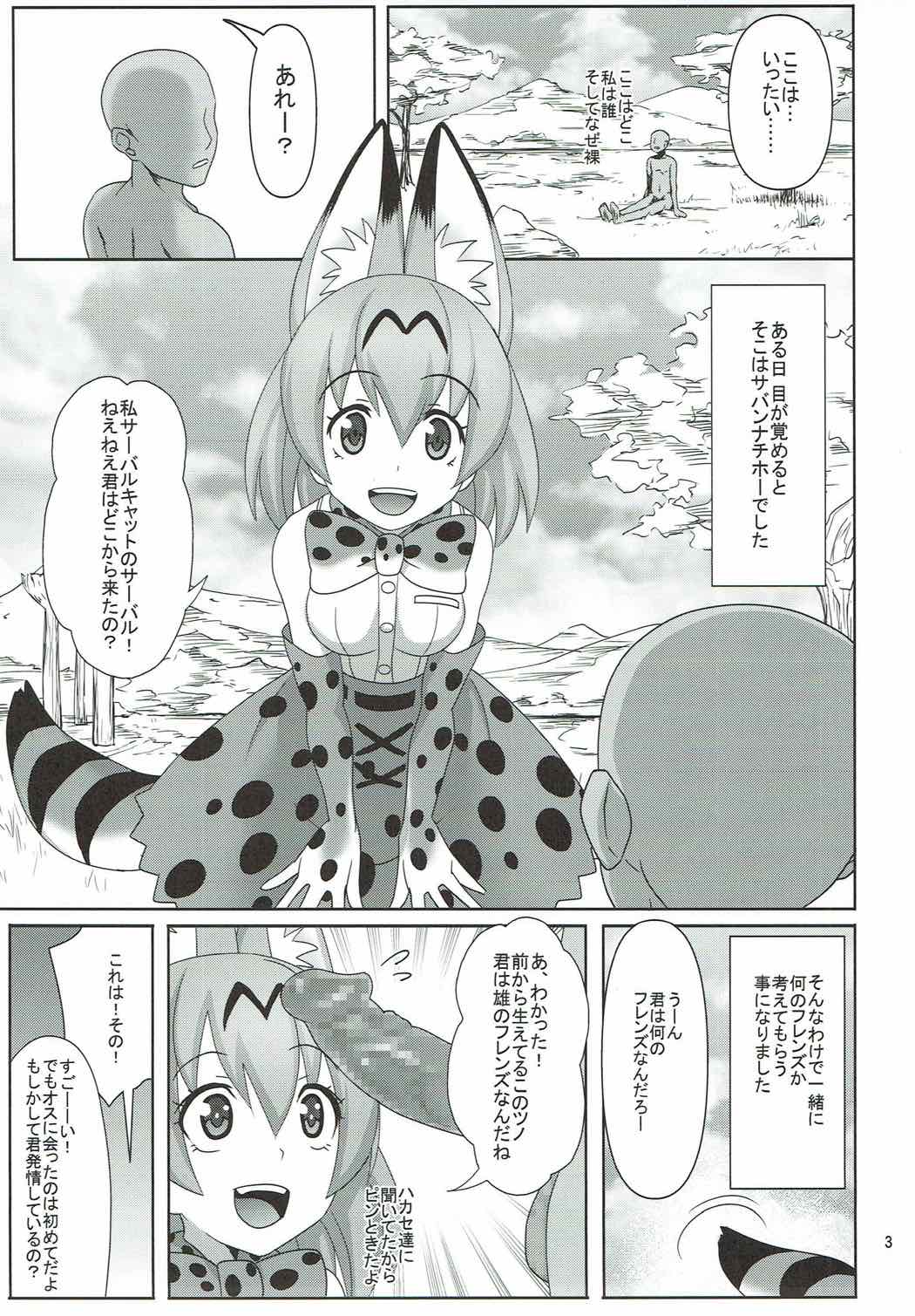 [Usui Hon Hitori Roudoku Kai (Tsukishima Mist)] Kyou mo Zukkon Bakkon Oosawagi!! (Kemono Friends) page 2 full