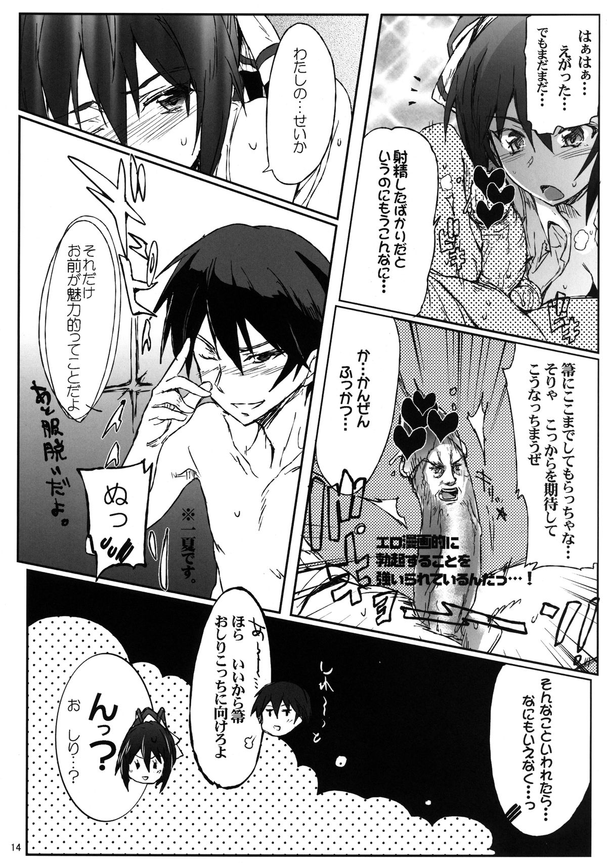 [RIBI Dou (Higata Akatsuki)] IS Girls 3 (IS <Infinite Stratos>) [Digital] page 14 full