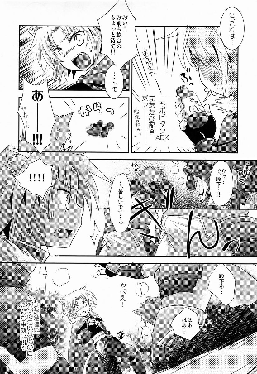 [Fuwawa (Oki no Matsushiro)] Gaul-denka no Senshou go Houbi (Dog Days) page 19 full