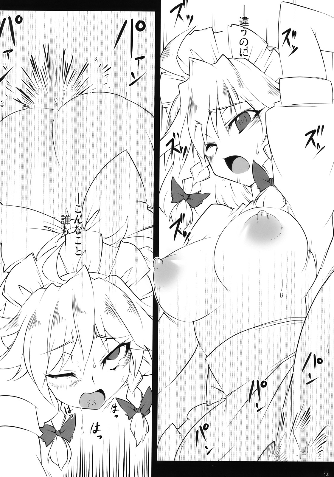 (C78) [BURUMAN (Tajima Yuki)] S&M Violence (Touhou Project) page 14 full