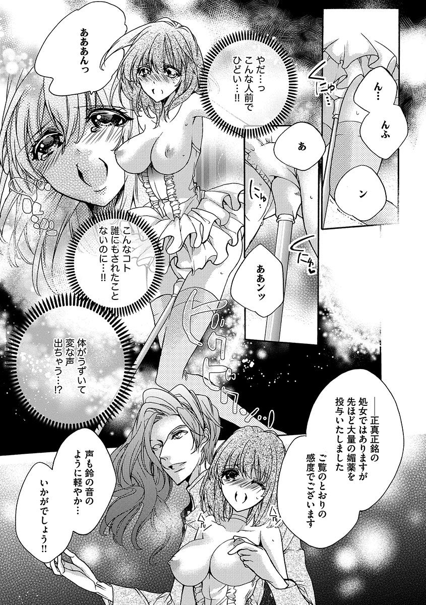 [ゆえこ] 鬼畜兄弟の悶絶調教～私はいいなり奴隷～ page 13 full