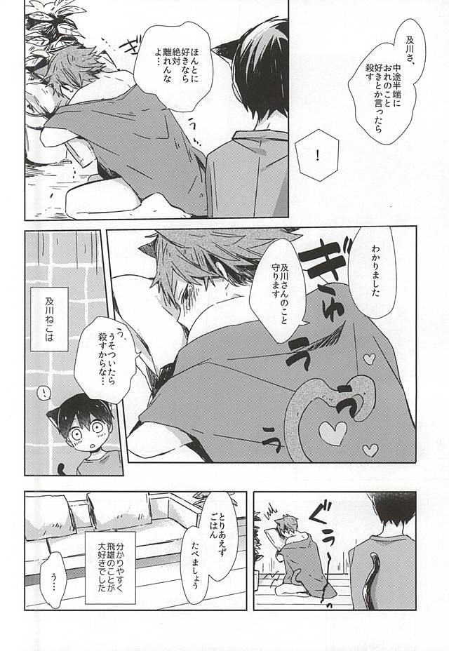 (RTS!!5) [Shounen-H (Yuuki)] Neko ni Natta Oikawa-san (Haikyuu!!) page 29 full