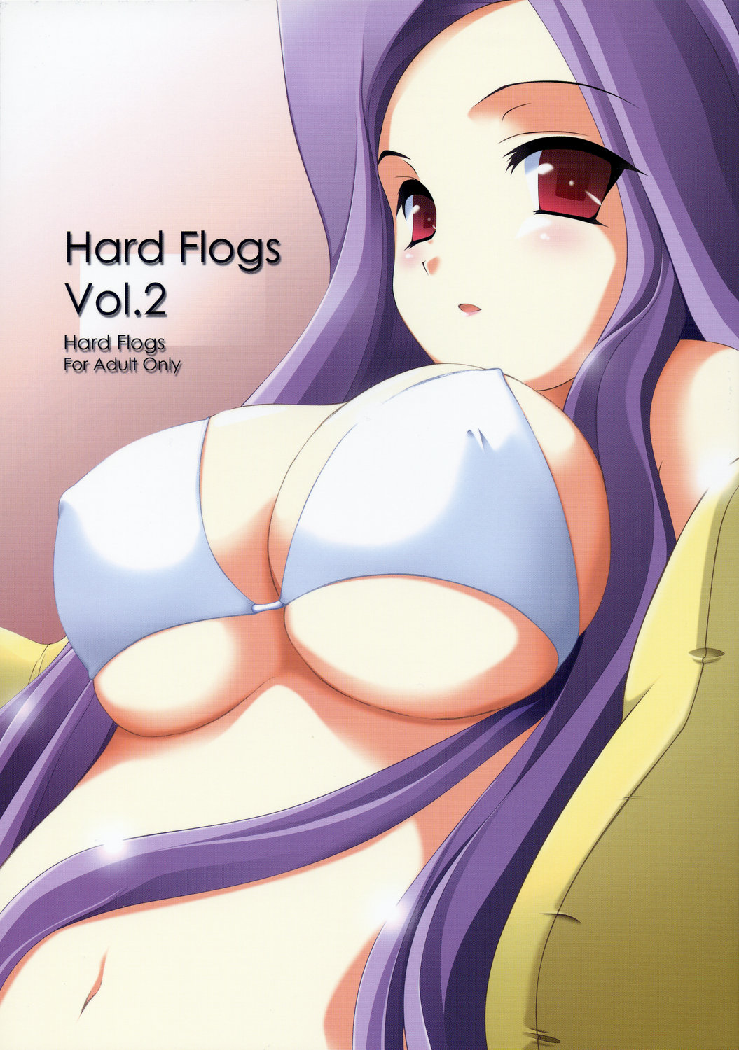(C67) [Hard Flogs (Haoto Luna)] Hard Flogs vol.2 (Fate/stay night) page 1 full
