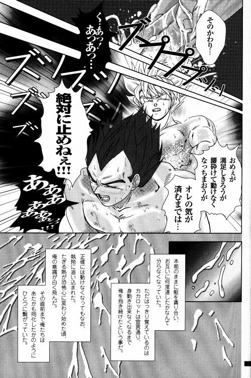 [GREFREE (ema)] Blaze (DRAGON BALL Z) page 13 full