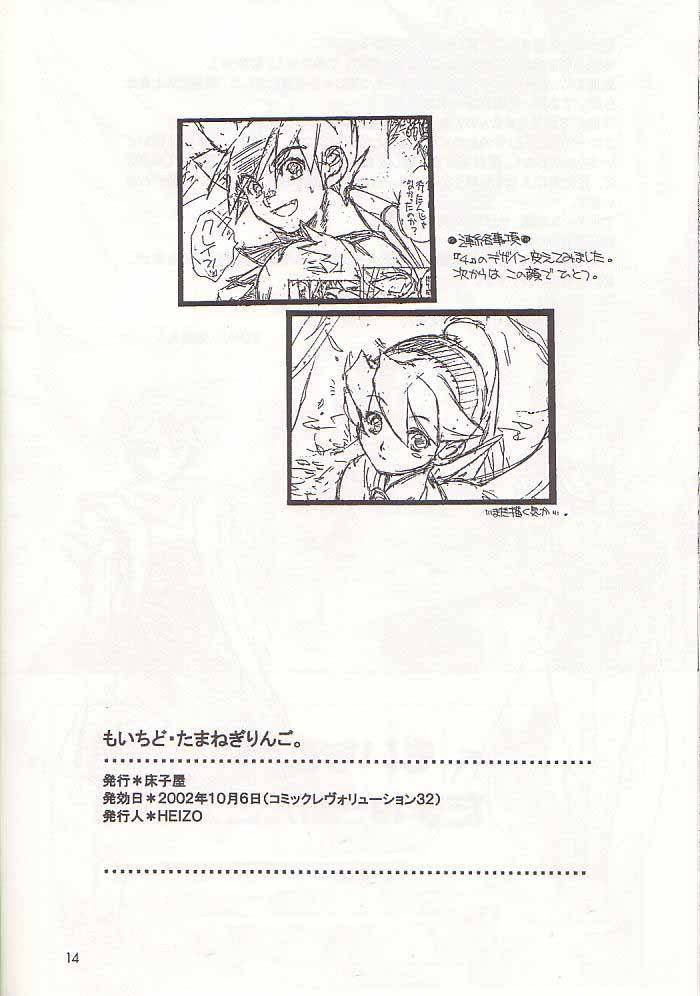 (CR32) [Toko-ya (Kitoen)] Mo Ichido Tamanegi Ringo. (Breath Of Fire III) page 13 full