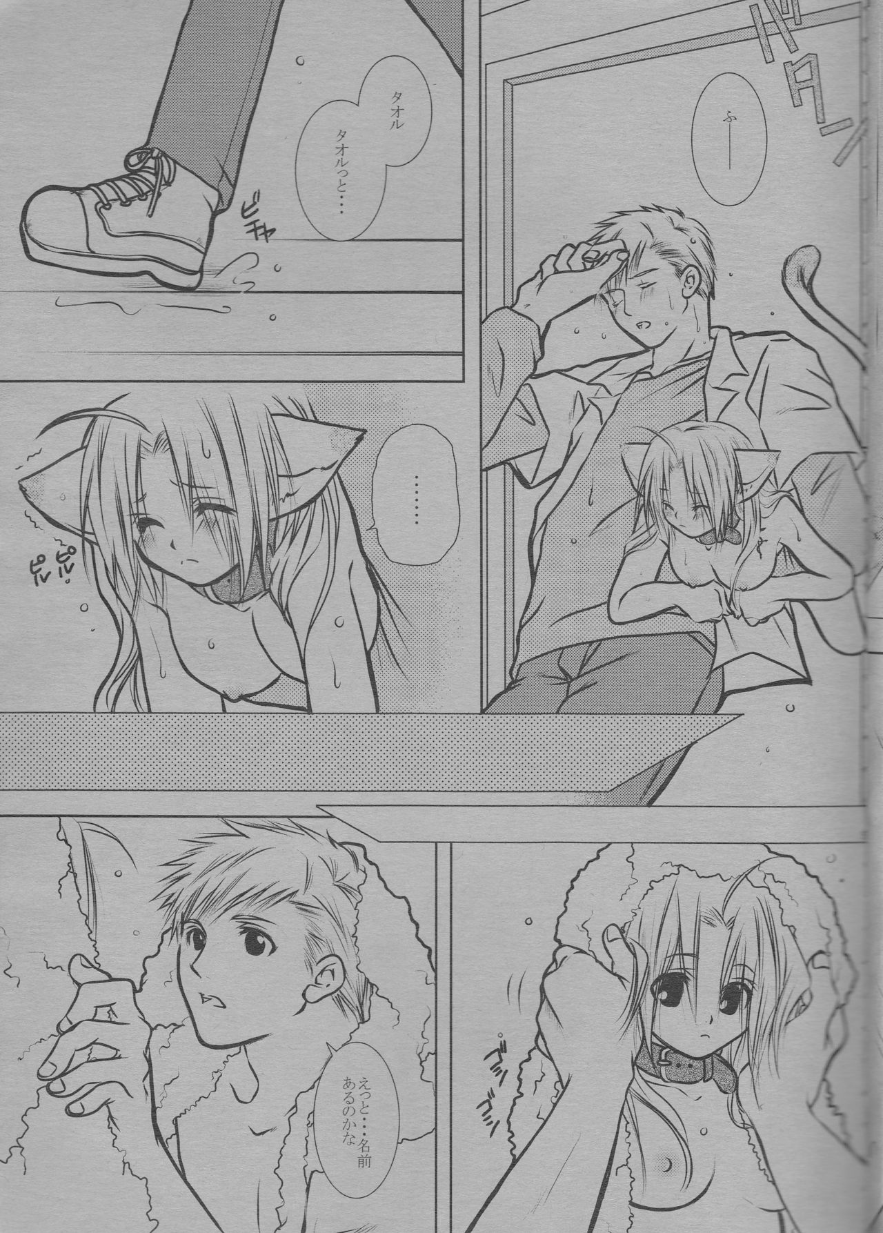 (C68) [HEAVENS (Tsukikage Manmaru)] Nyan Nyan (Fullmetal Alchemist) page 5 full