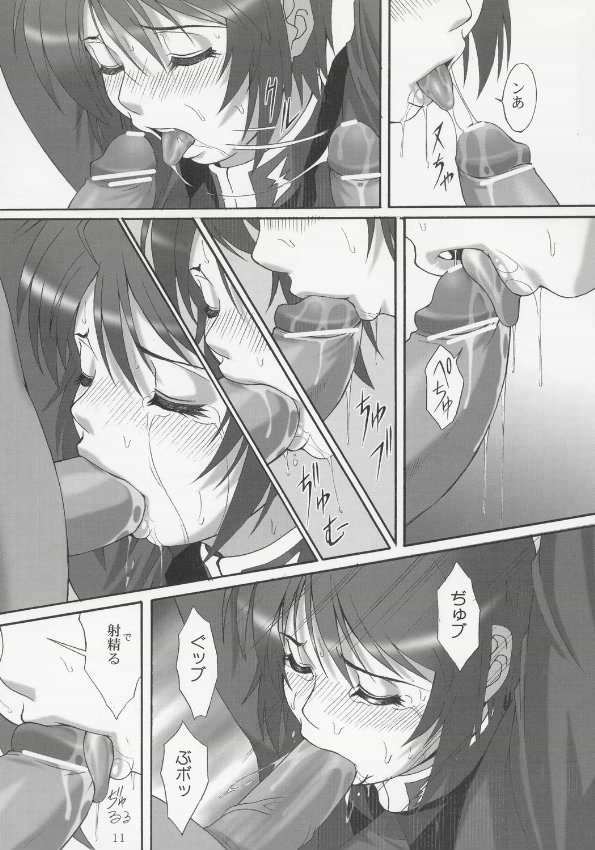 (C68) [AKKAN-Bi PROJECT (Yanagi Hirohiko)] RED BRAVO (Mobile Suit Gundam Seed Destiny) page 10 full