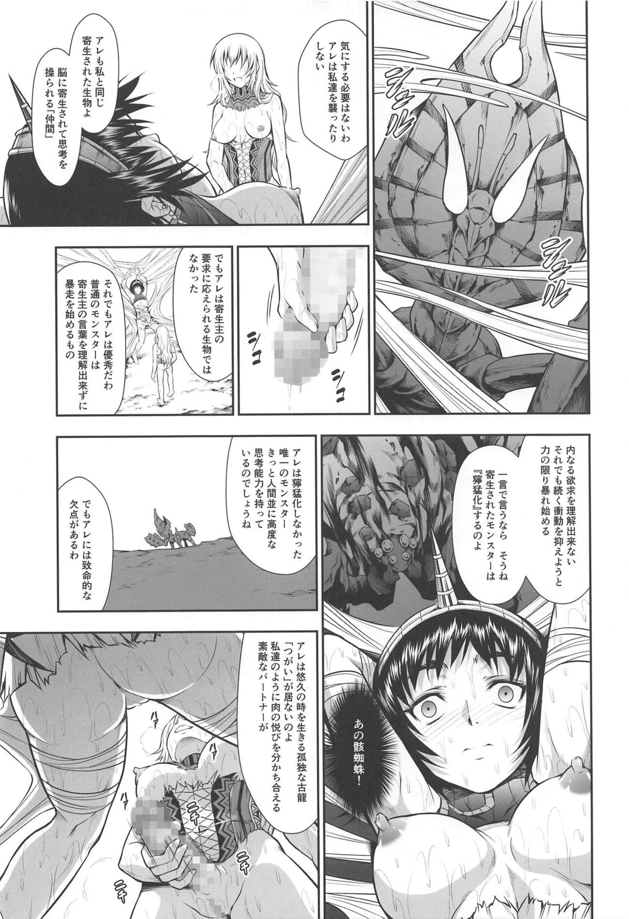 (C93) [Yokohama Junky (Makari Tohru)] Pair Hunter no Seitai Vol. 2-3 (Monster Hunter) page 29 full