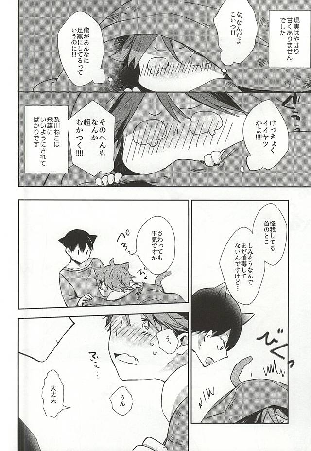 (RTS!!5) [Shounen-H (Yuuki)] Neko ni Natta Oikawa-san (Haikyuu!!) page 17 full