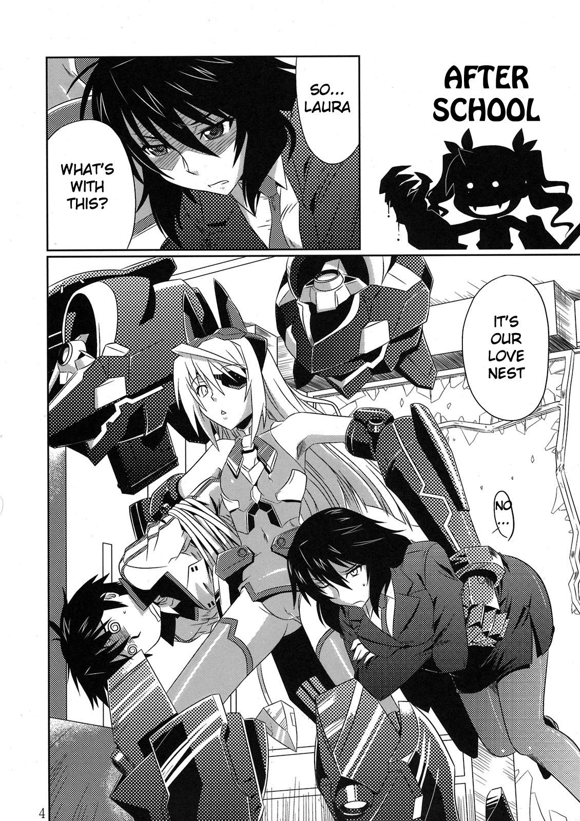 (C80) [CAZA MAYOR (Tsutsumi Akari)] is Incest Strategy (IS <Infinite Stratos>) [English] [life4Kaoru] [Decensored] page 4 full