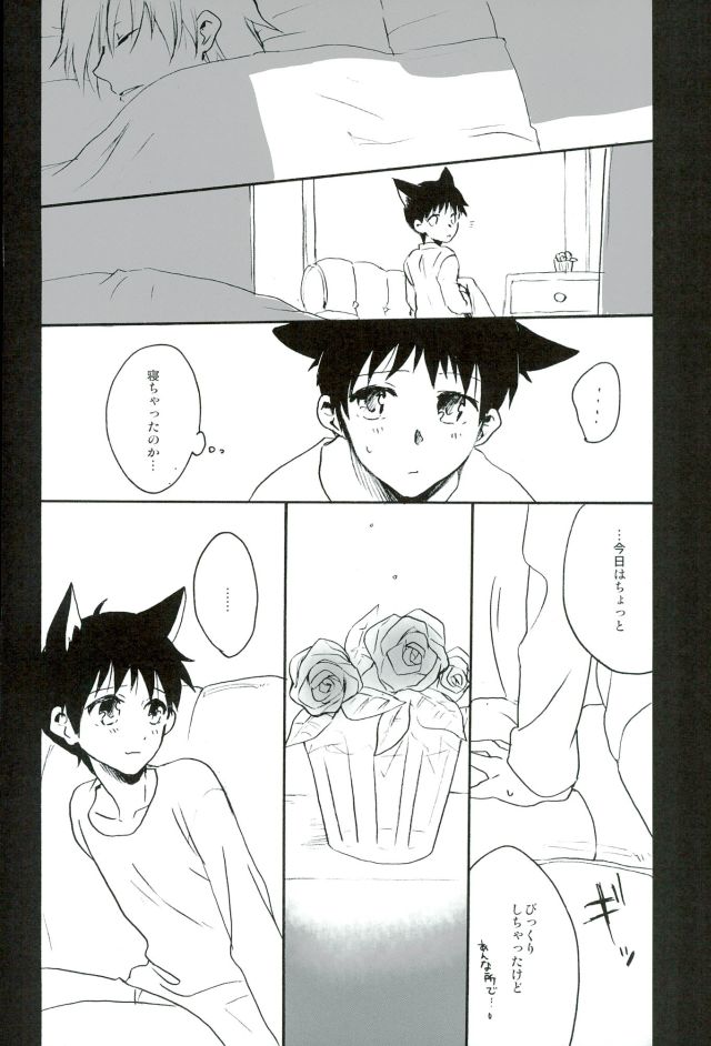 (C85) [Yaranaika (Nakamura Q)] RING RING MID NIGHTS (Neon Genesis Evangelion) page 19 full