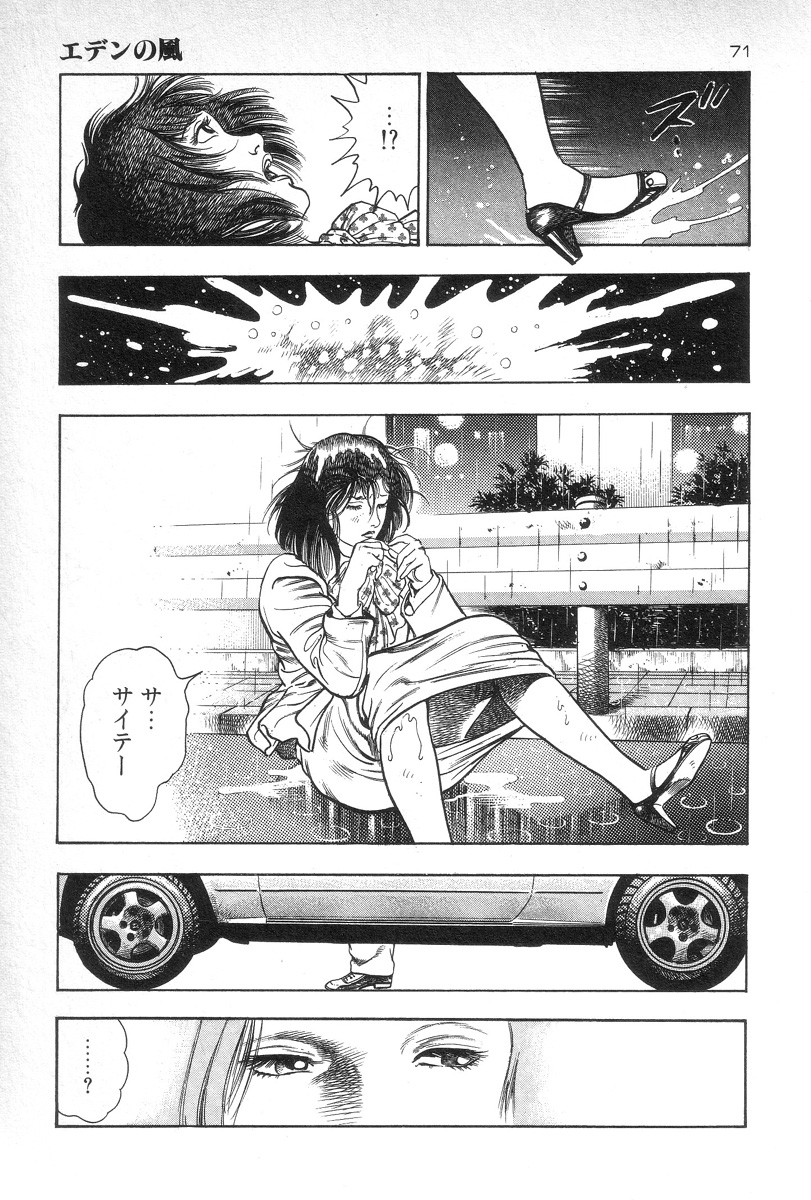 [Maeda Toshio] Eden no Kaze page 73 full