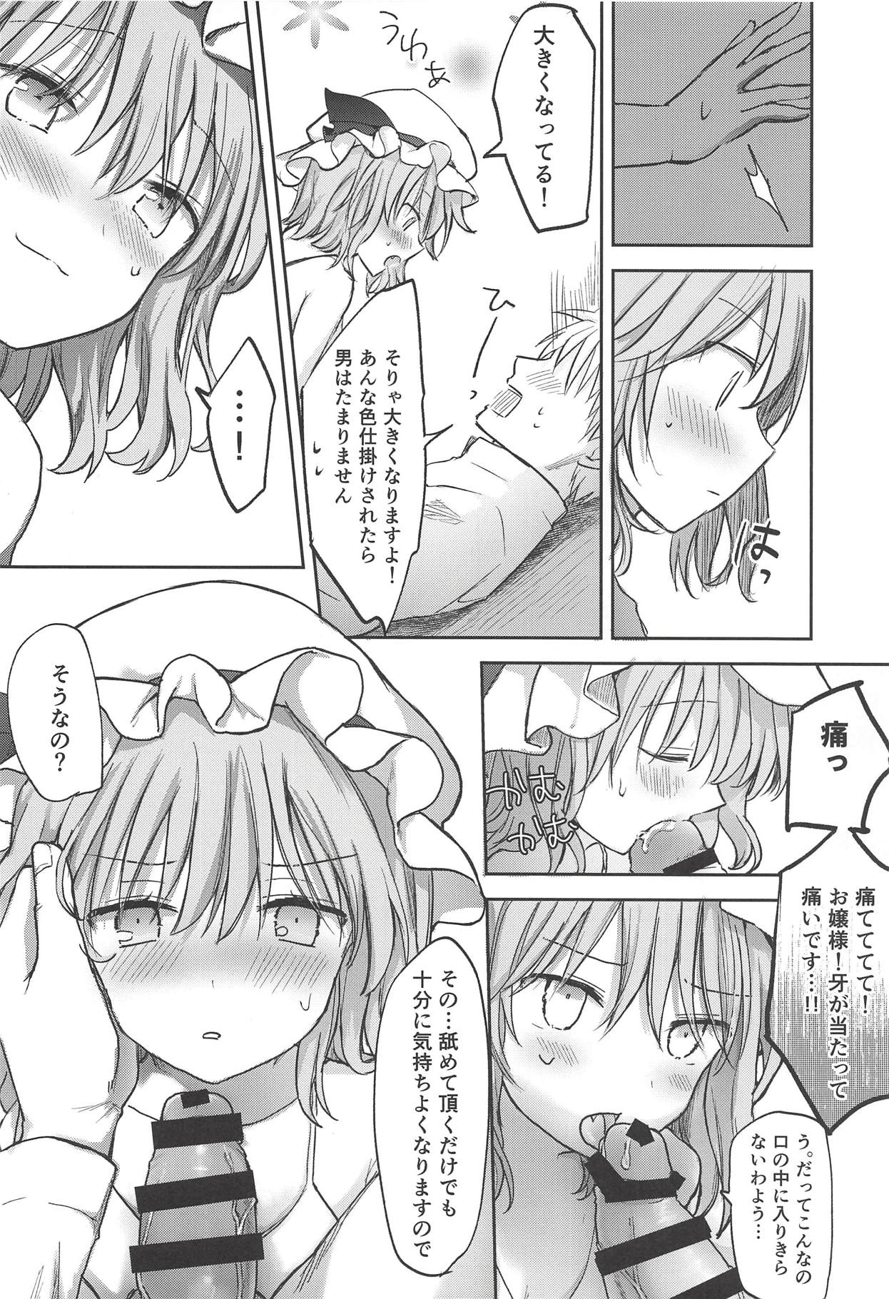 (Shuuki Reitaisai 5) [Mikkamisaki (Nadzuka)] Ojou-sama no Koukando ga MAX na Hon (Touhou Project) page 9 full