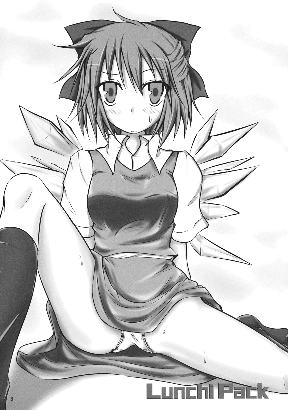 (Reitaisai 8) [Yume no Kage] Lunchi Pack (Touhou Project) page 3 full