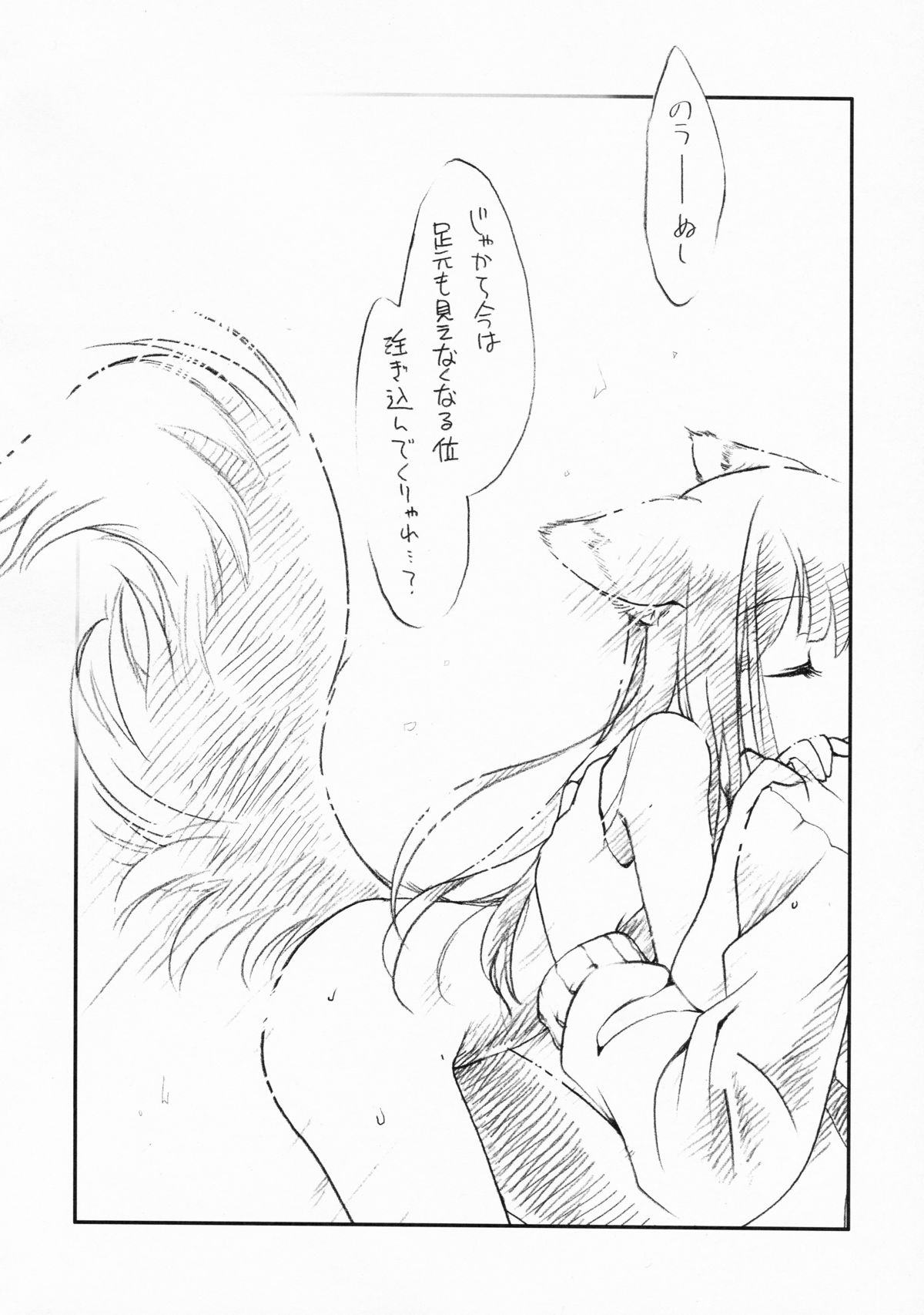 (C76) [Hinaprin (Ikuta Takanon)] Ookami no Soukessan (Spice and Wolf) page 46 full