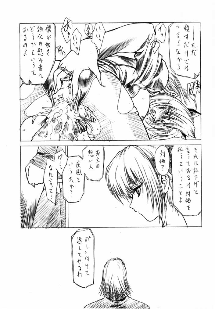 (C58) [UROBOROS (Utatane Hiroyuki)] Genwaku (Dead or Alive) page 12 full