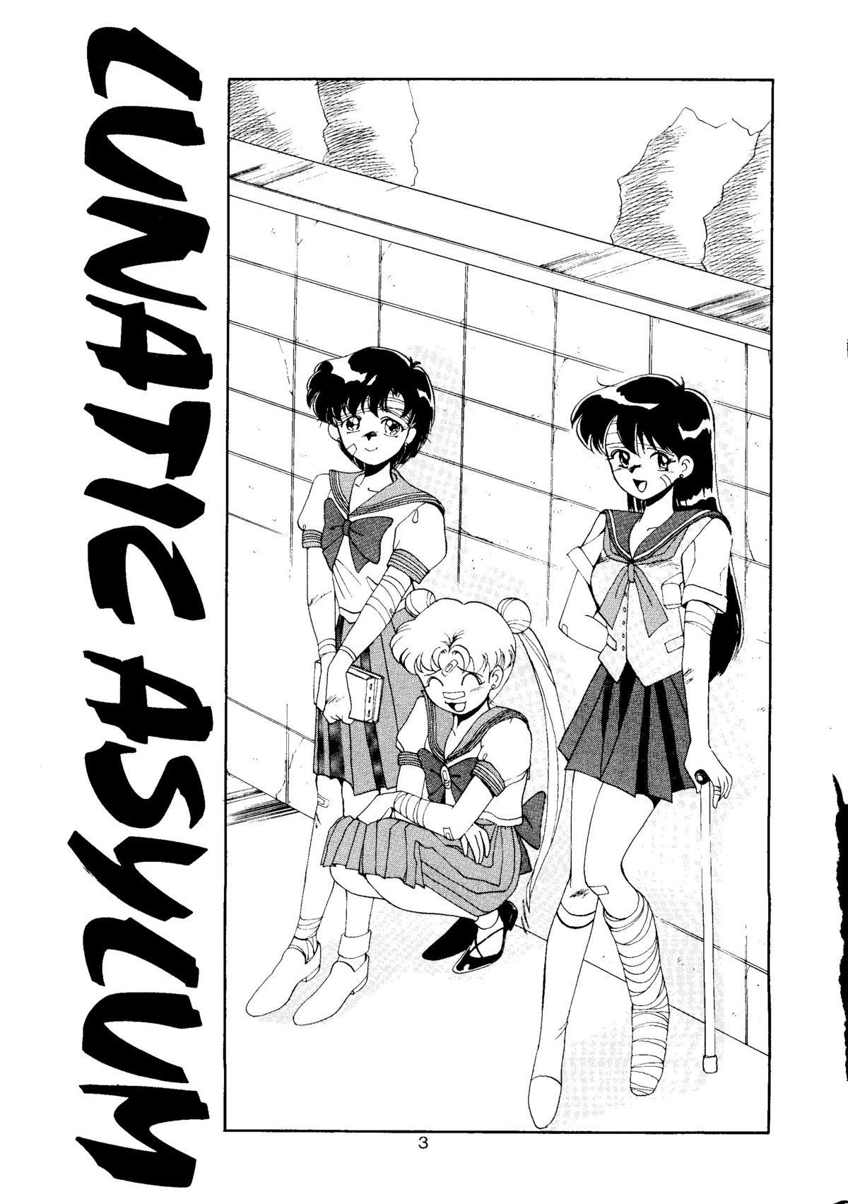 [T2 UNIT, RyuukiSya, Sakura ROC (Various)] LUNATIC ASYLUM (Sailor Moon) page 3 full