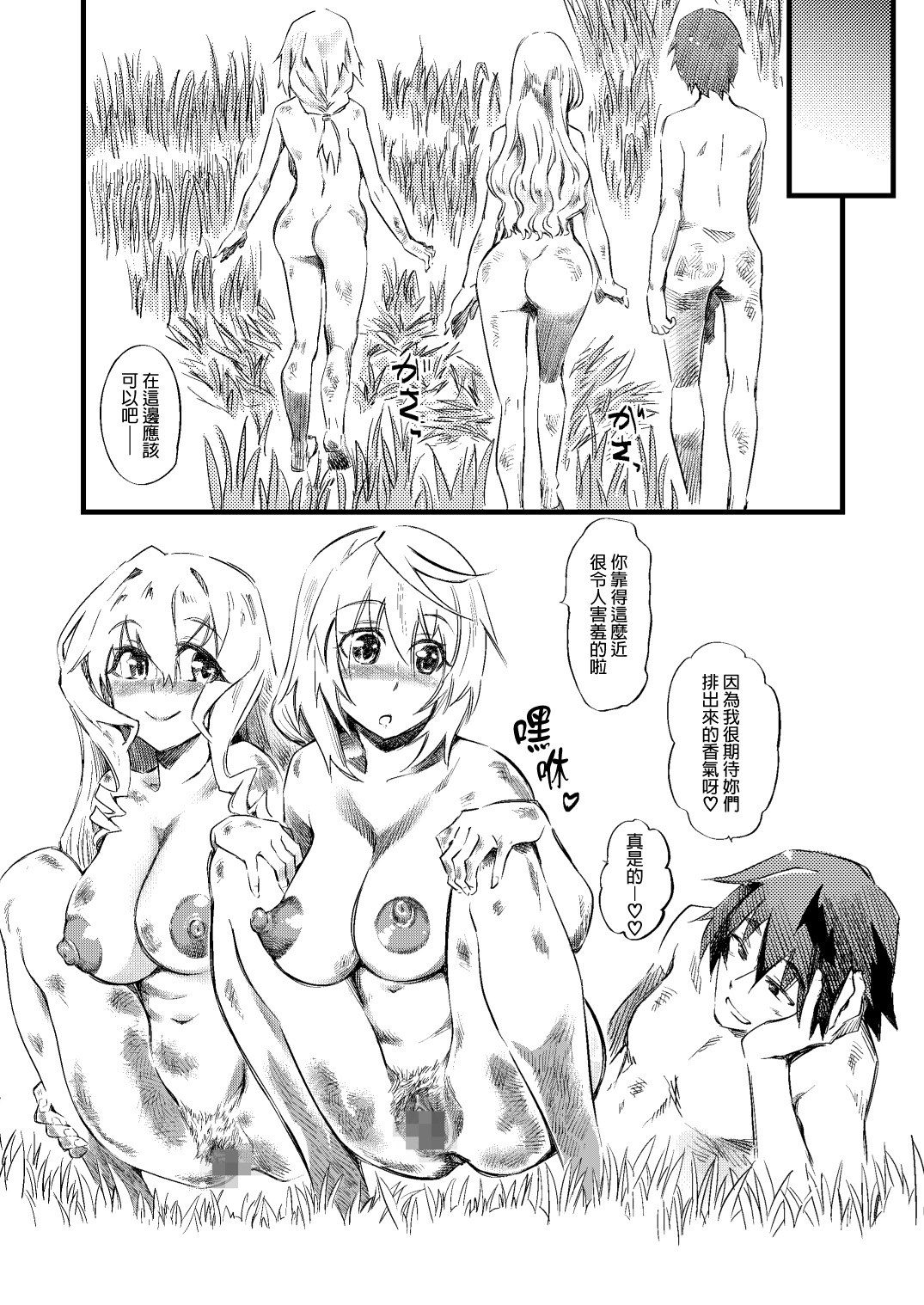 [Hi-Per Pinch (clover)] N - Zenra Seikatsu (IS <Infinite Stratos>) [Chinese] [final個人漢化] [Digital] page 22 full