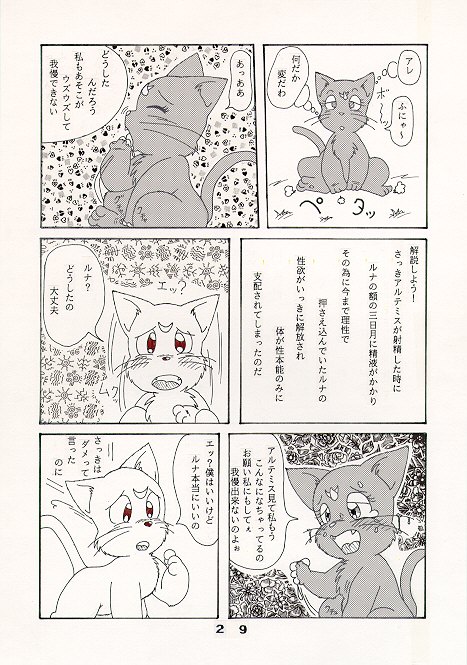 [nyantarou] だって猫なんだモン！ (Bishoujo Senshi Sailor Moon) page 5 full